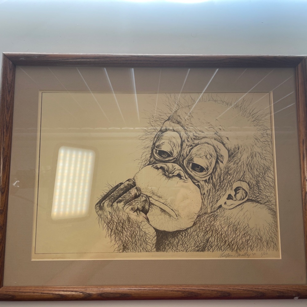 Handmade Sketched Monkey Hand drawn Pencil Sketch Drawing Framed Artwork 17x13